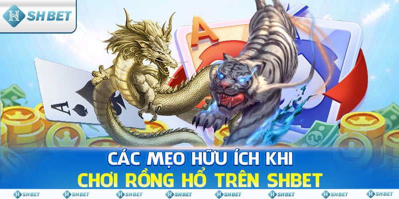 Các mẹo hữu ích khi chơi Rồng Hổ trên SHBET