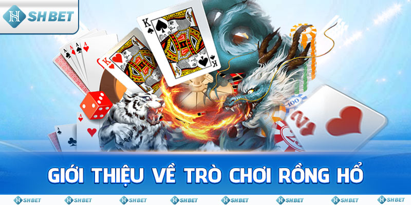 Giới thiệu về trò chơi Rồng Hổ