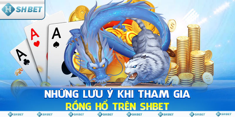 Những lưu ý khi tham gia Rồng Hổ trên SHBET