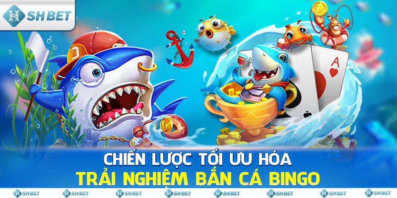 Chiến lược tối ưu hóa trải nghiệm Bắn Cá Bingo