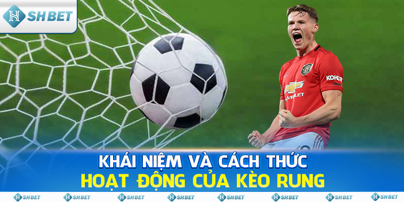 Khái niệm và cách thức hoạt động của kèo rung