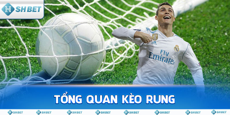 Tổng quan kèo rung