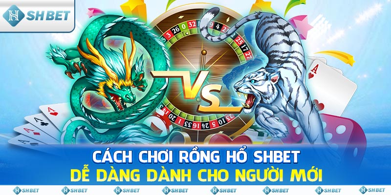 Cách Chơi Rồng Hổ SHBET Dễ Dàng Dành Cho Người Mới